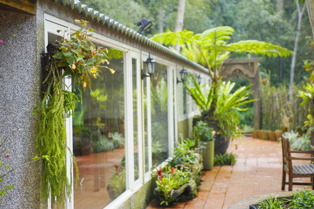نانزوانج Green Shine B&B المظهر الخارجي الصورة